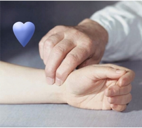 Беговая дорожка OXYGEN FITNESS NEW CLASSIC ARGENTUM TFT