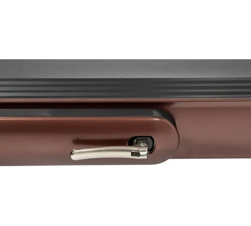 Беговая дорожка Titanium Masters Slimtech C20, коричневая