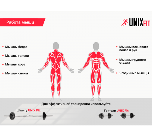 Скамья силовая со стойками UNIX Fit BENCH 120