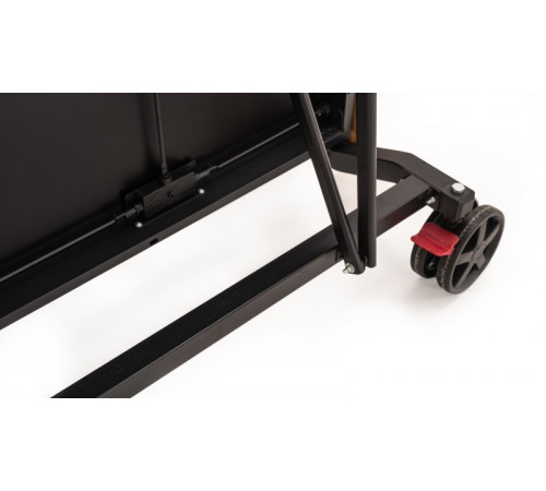 Теннисный стол складной для помещений "RASSON PREMIUM T01 Indoor" (274 х 152,5 х 76 см, натуральный ясень) с сеткой