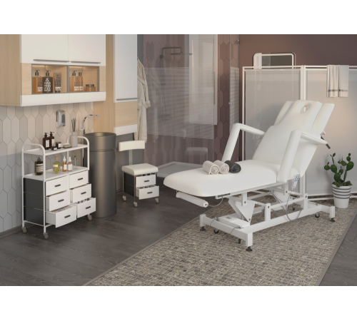 Массажный стол многофункциональный электрический Элегия-2А (МД-850), 2 мотора